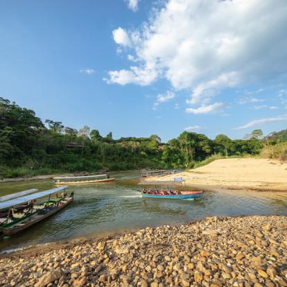 Parc National Taman Negara Voyage en Malaisie - Agence de Voyage Locale Pro eco Adventure