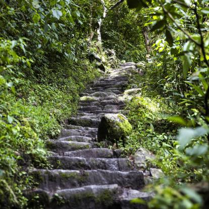 Chemin de l'Inca Voyage au Pérou - Agence de Voyage Locale Yunka Trek