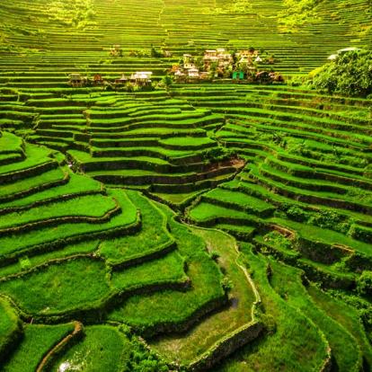 Luçon - Batad Voyage aux Philippines - Agence de Voyage Locale Iles Philippines.com