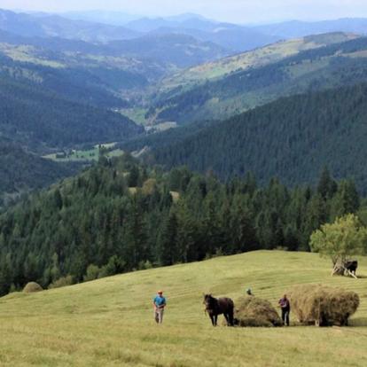 Travaux dans la campagne Voyage en Roumanie - Agence de Voyage Locale Explore Romania