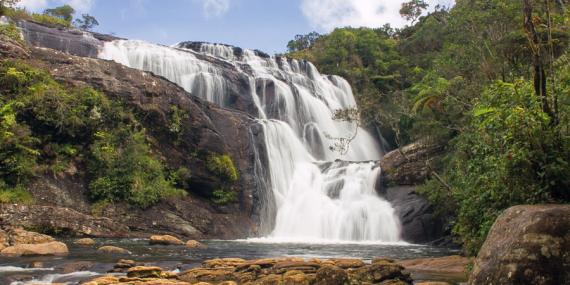 Voyage au Sri Lanka - Agence de Voyage Locale Tropical Destination/LSR