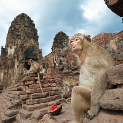 Lopburi Voyage en Thailande - Agence de Voyage Locale Mandarin Road