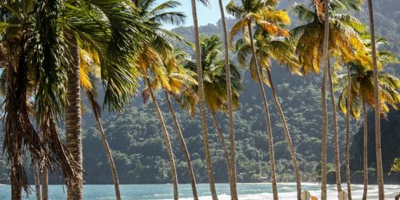 Voyage à Trinité et Tobago - Agence de Voyage Locale Vamos!