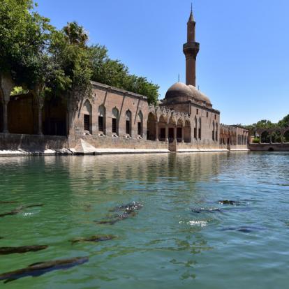 Urfa - Balikligol Voyage en Turquie - Agence de Voyage Locale Sobek Travel-RandoNatolia