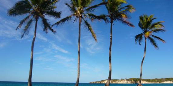 Voyage en République Dominicaine - Agence de Voyage Locale locale Viaggi Caribe