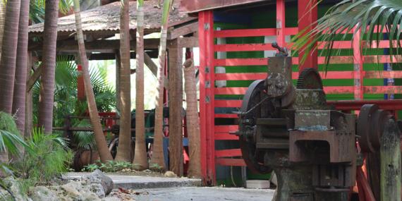 Album Photos - Guadeloupe
