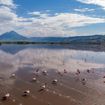 Lac Natron et Volcan Ol Doinyo Lengai Album Photos - Tanzanie