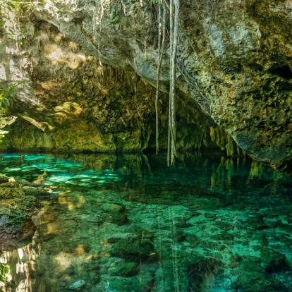 Tulum - Grand Cenote A Découvrir au Mexique / Yucatan - Tulum