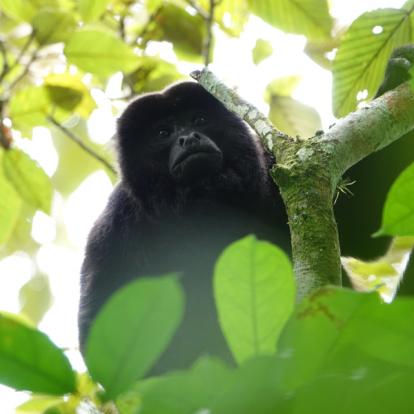Voyage au Nicaragua 2019 Voyage au Nicaragua de Laurence, Pascale et Christine