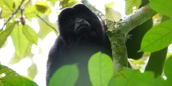 Voyage au Nicaragua 2019 Voyage au Nicaragua de Laurence, Pascale et Christine
