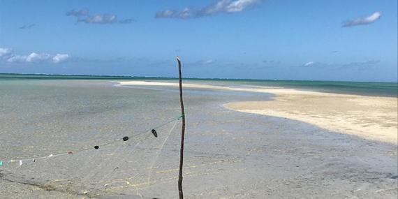 Voyage au Mozambique Voyage au Mozambique de Patrice