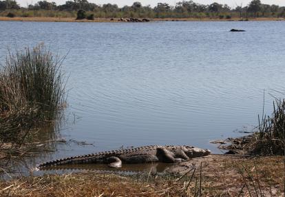 Voyage aux Botswana Voyage aux Botswana de la Famille de Bénédicte