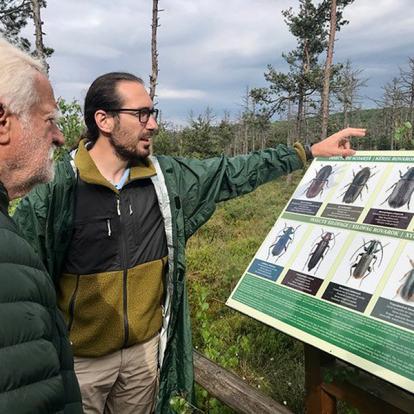 Observation Animaux Sauvages Voyage en Roumanie du Groupe de Jean-Christophe B.