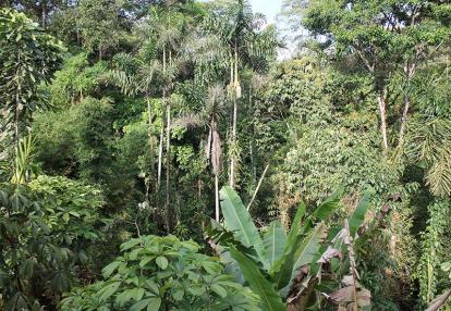 Equateur - Amazonie Voyage en Equateur de Christine T.