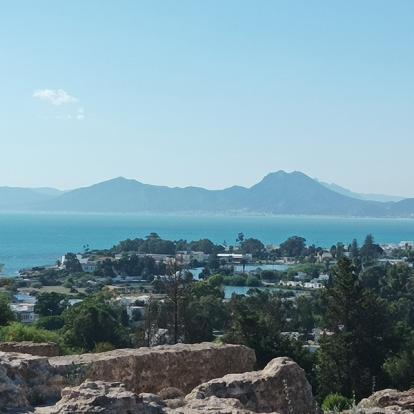 Vue depuis Carthage Voyage en Tunisie de Daniele R.