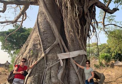 Baobab Voyage au Bénin et Togo de Florence D.