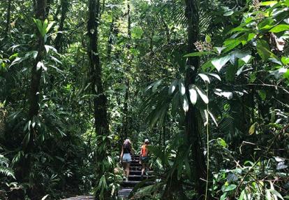 Les chutes dû Carbet Voyage en Guadeloupe de Sophie L.