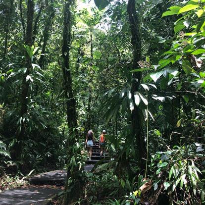 Les chutes dû Carbet Voyage en Guadeloupe de Sophie L.