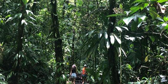 Les chutes dû Carbet Voyage en Guadeloupe de Sophie L.