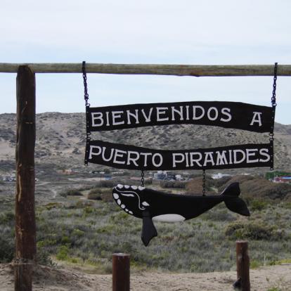 Péninsule de Valdes - Puerto Piramides A Découvrir en Argentine - La Péninsule Valdés