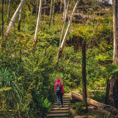 Blue Mountains A Découvrir en Australie - Les Blue Mountains