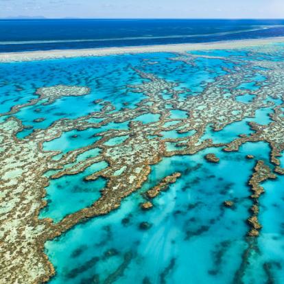 The Great Barrier Reef A Découvrir en Australie - Cairns