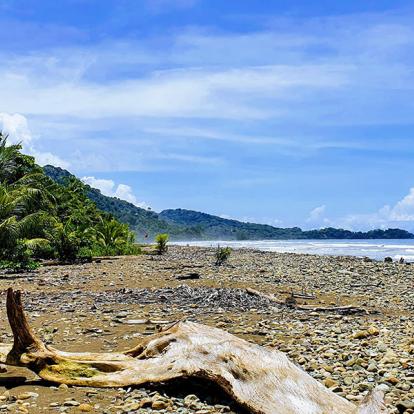 Uvita A Découvrir au Costa Rica - La Côte Pacifique Sud