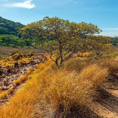 Parc National Rincon de la Vieja A Découvrir au Costa Rica - Le Parc National Rincon de la Vieja