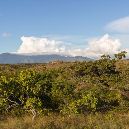 Volcan Rincón de la vieja A Découvrir au Costa Rica - Le Parc National Rincon de la Vieja