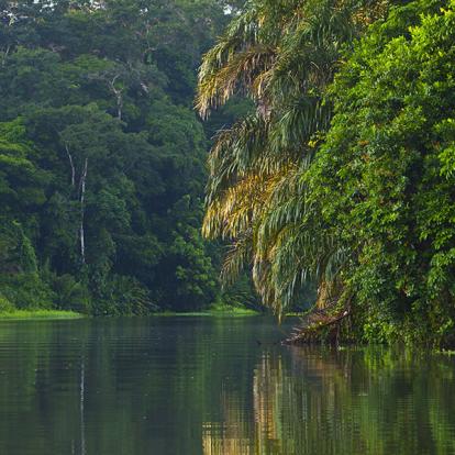 Parc National de Tortuguero A Découvrir au Costa Rica - Parc National de Tortuguero
