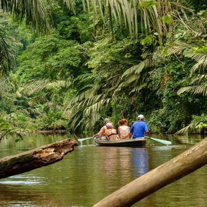 Parc National de Tortuguero A Découvrir au Costa Rica - Parc National de Tortuguero