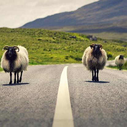 Connemara A Découvrir en Irlande - Le Connemara