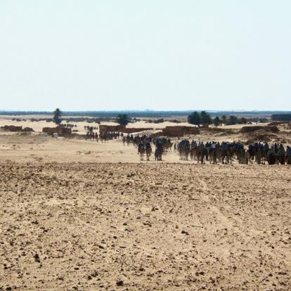 Guide de Voyage de Tunisie - Gabès | Le Voyage Autrement