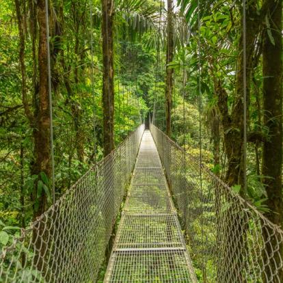 Arenal - Hanging Bridge Incontournable au Costa Rica - Parc National d'Arenal