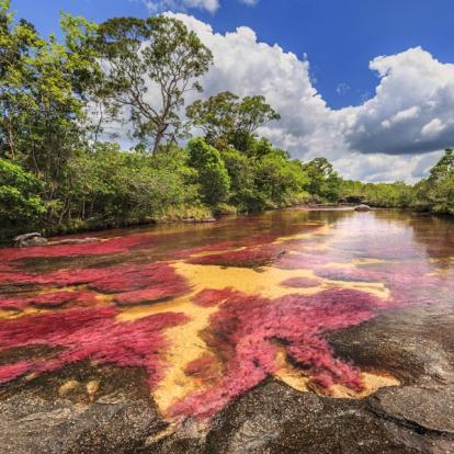 Cano Canales A découvrir en Colombie - Caño Cristales