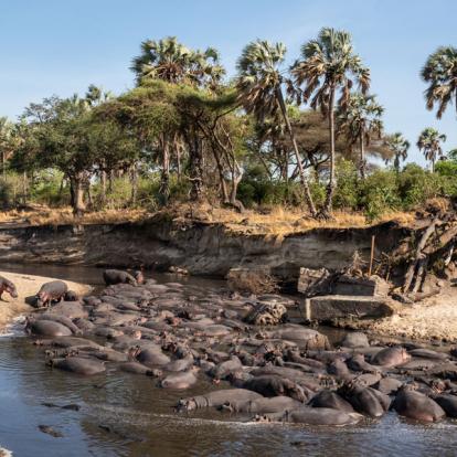 Parc National de Katavi A Découvrir en Tanzanie - Le Parc National de Katavi