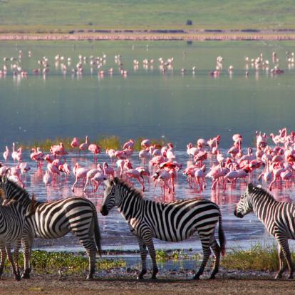 Cratère du Ngorongoro A Découvrir en Tanzanie - Le Cratère du Ngorongoro