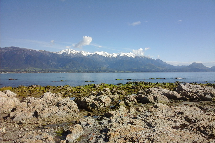 Nouvelle-Zélande - Le Sel Marin et les Monts Enneigés de Kaikoura