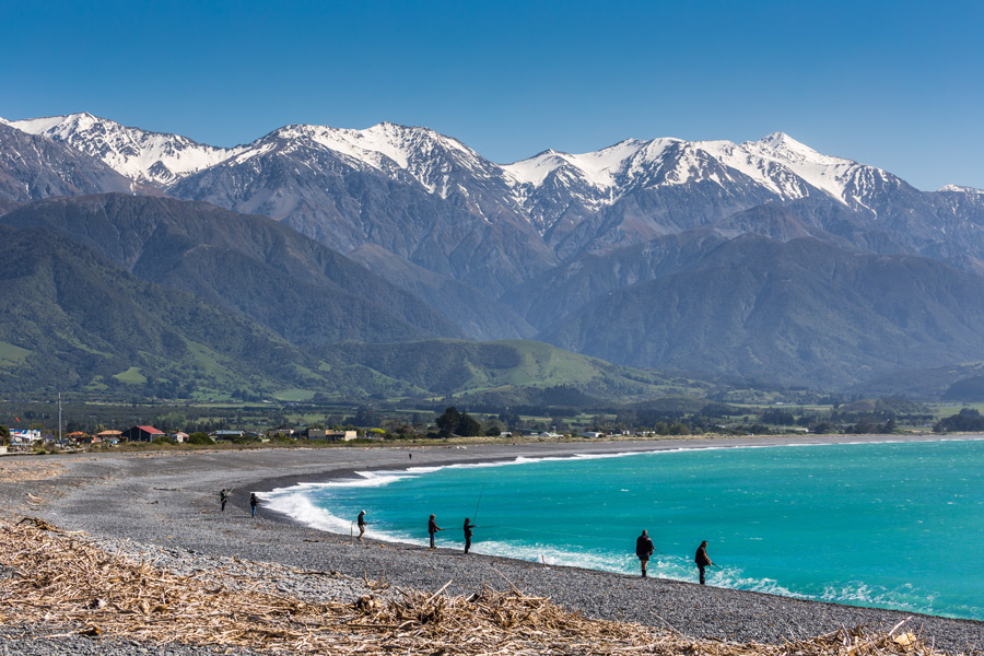 Nouvelle-Zélande - Le Sel Marin et les Monts Enneigés de Kaikoura