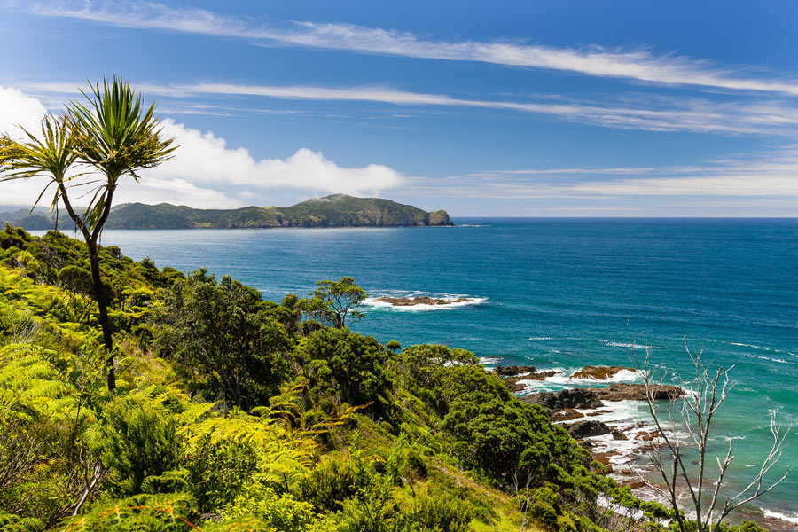 Nouvelle-Zélande - Northland & Bay of Islands
