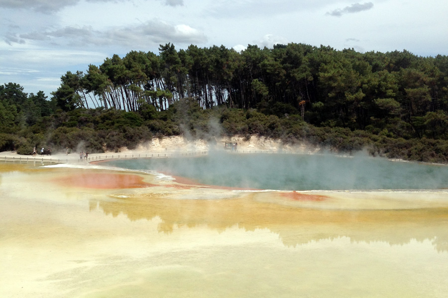 Nouvelle-Zélande - Rotorua, une ville pleine de curiosité