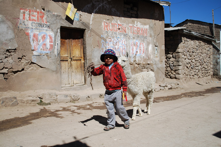Pérou - La Culture de la Laine de Vigogne