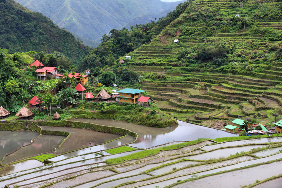 Philippines - Batad et Banaue, Villages Perchés