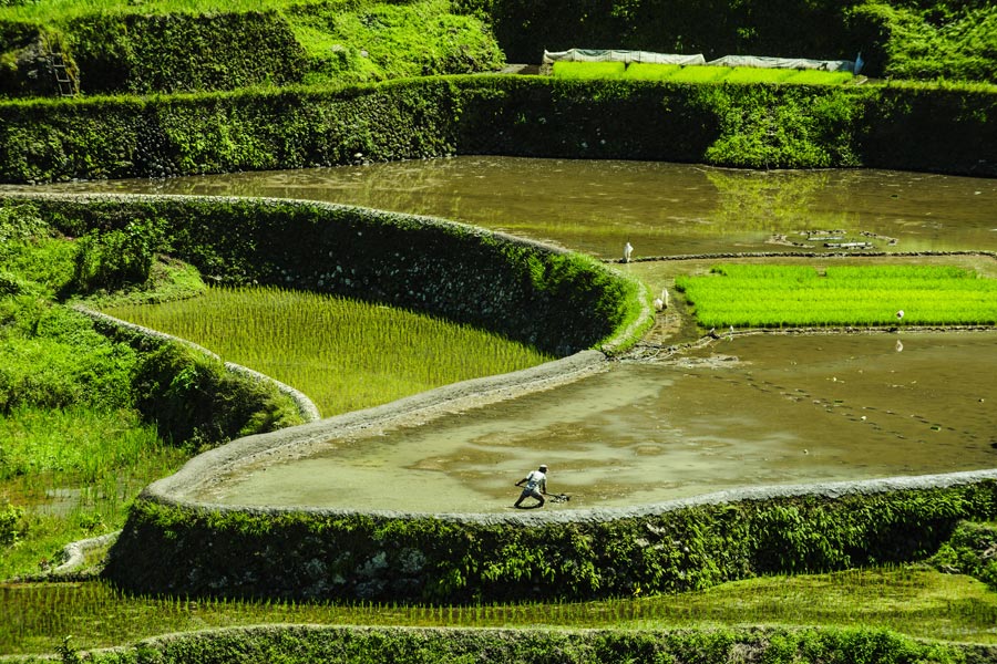 Philippines - Batad et Banaue, Villages Perchés