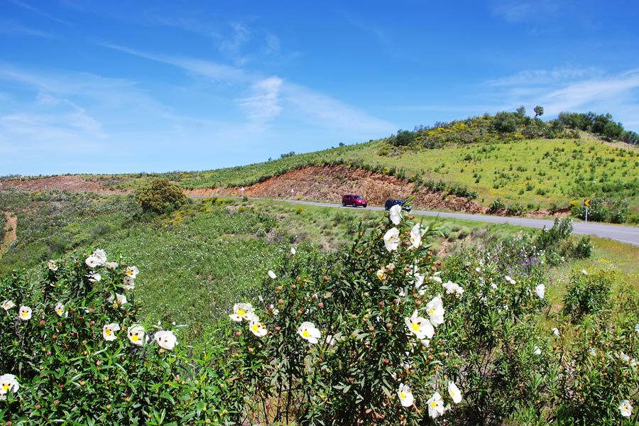 Portugal - L'Algarve, entre plages idylliques et réserves naturelles