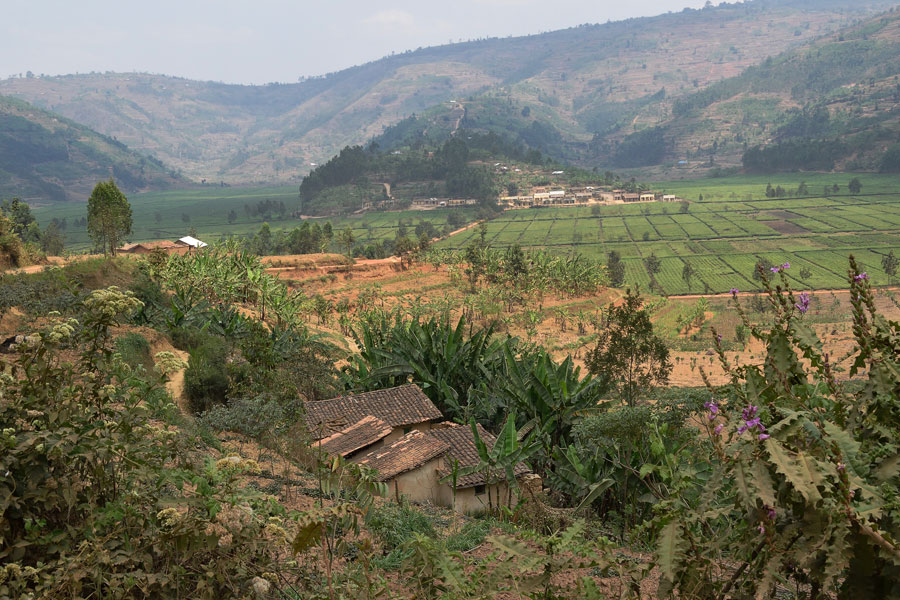 Rwanda - Là où traîne encore le Cri des Singes
