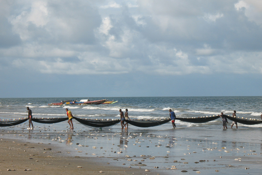 Sénégal - La Casamance, promenade dans le grenier du Sénégal