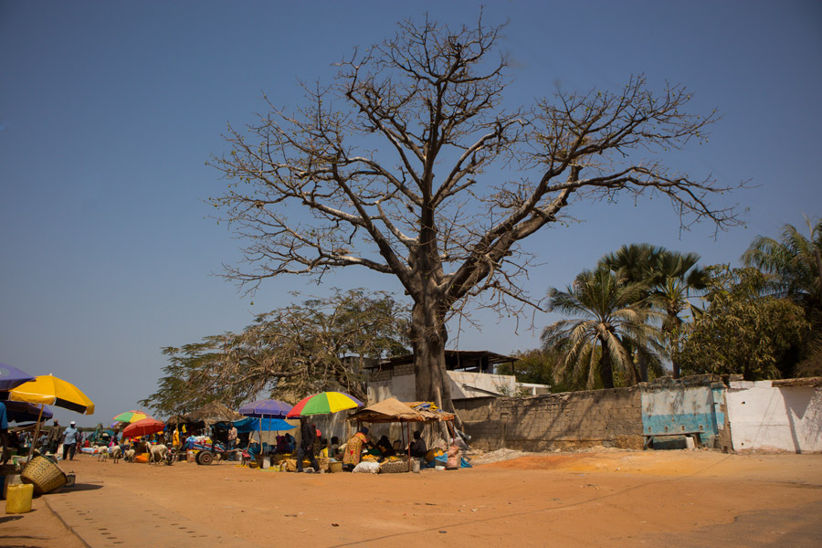 Sénégal - La Casamance, promenade dans le grenier du Sénégal