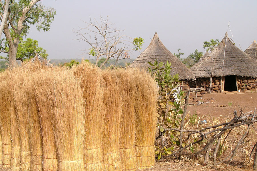Sénégal - Le Pays Bassari