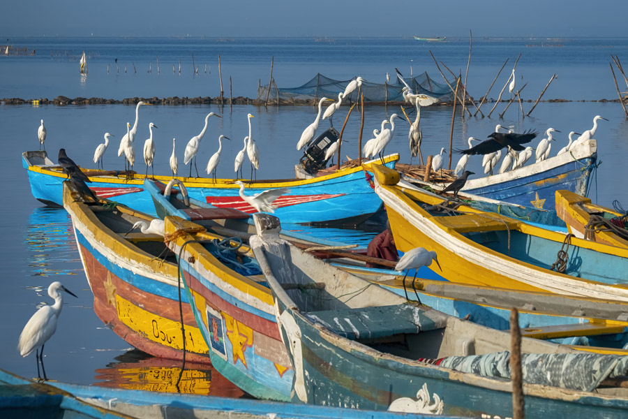 Voyage en Pays Tamoul à Jaffna et dans le nord du Sri Lanka